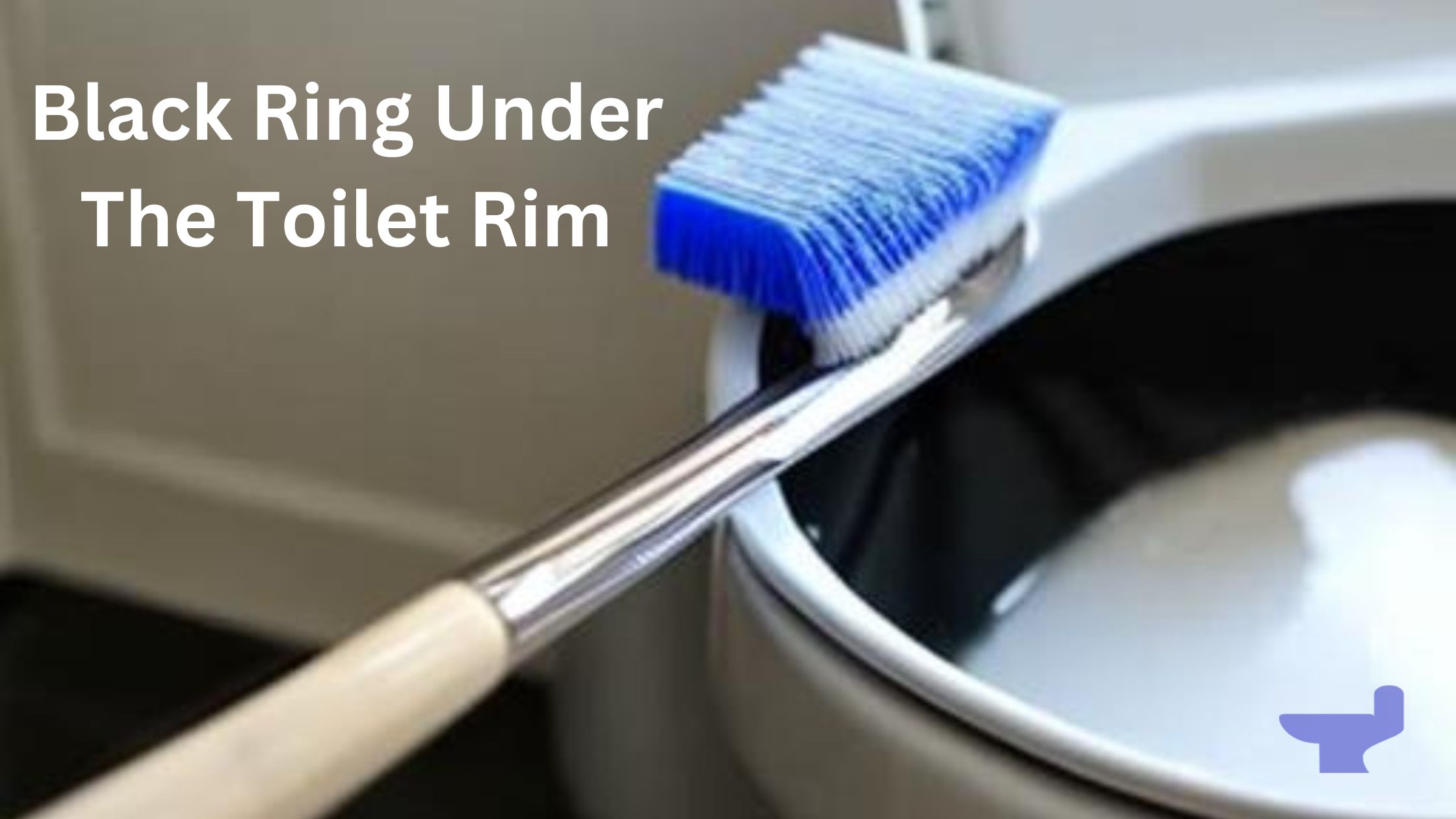 How to Clean Black Ring under Toilet Rim in 4 Easy Steps