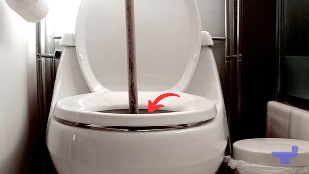 Clogged Toilet with Poop