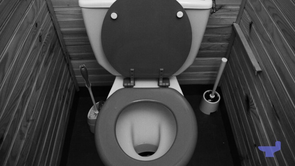 Black Toilet Seat On White Toilet